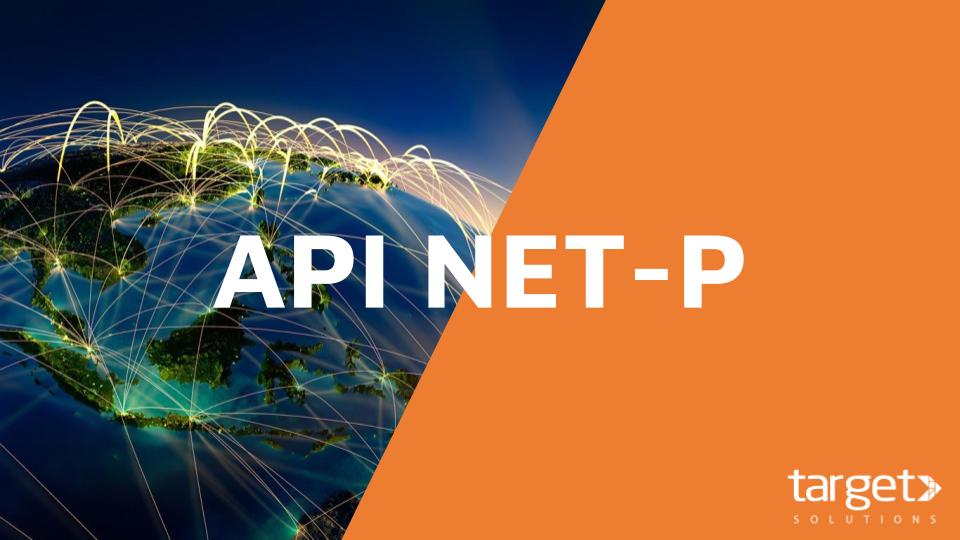 API do NET-P